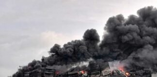 The Aftermath Beneath the Waves: The Impact of the MV X-Press Pearl Disaster on Sea Life