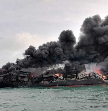 The Aftermath Beneath the Waves: The Impact of the MV X-Press Pearl Disaster on Sea Life